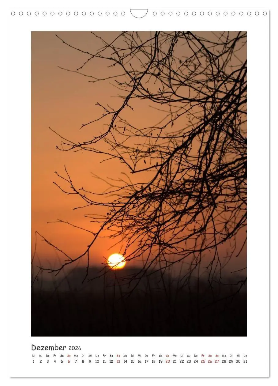 Bild: 9783516679595 | Lichtfänger (Wandkalender 2026 DIN A3 hoch), CALVENDO Monatskalender