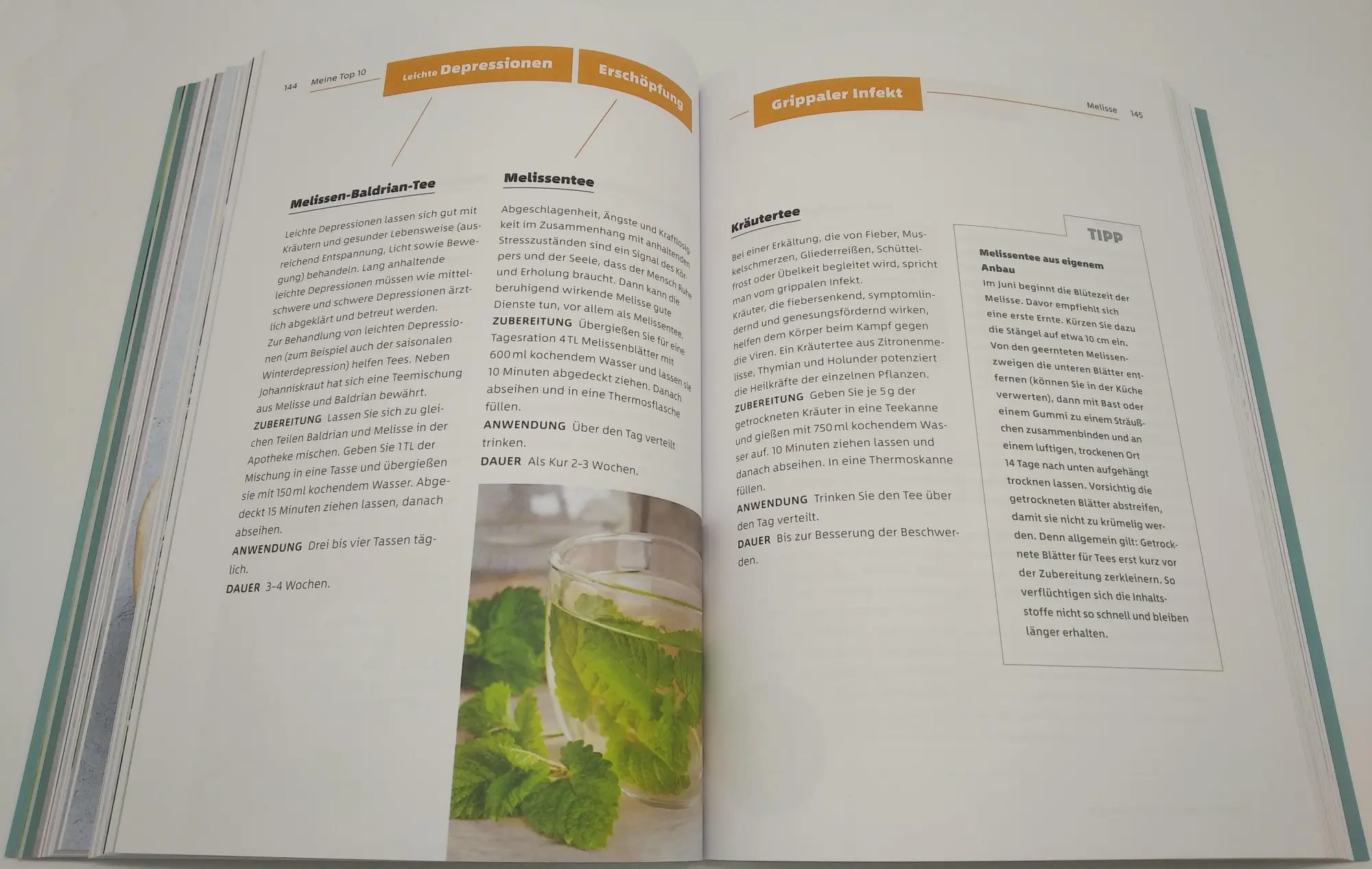 Bild: 9783442179695 | 10 Kräuter gegen 100 Krankheiten | Franziska Rubin | Taschenbuch