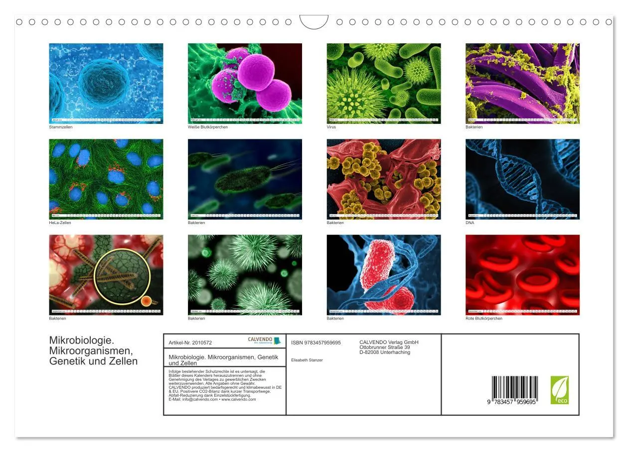 Bild: 9783457959695 | Mikrobiologie. Mikroorganismen, Genetik und Zellen (Wandkalender...