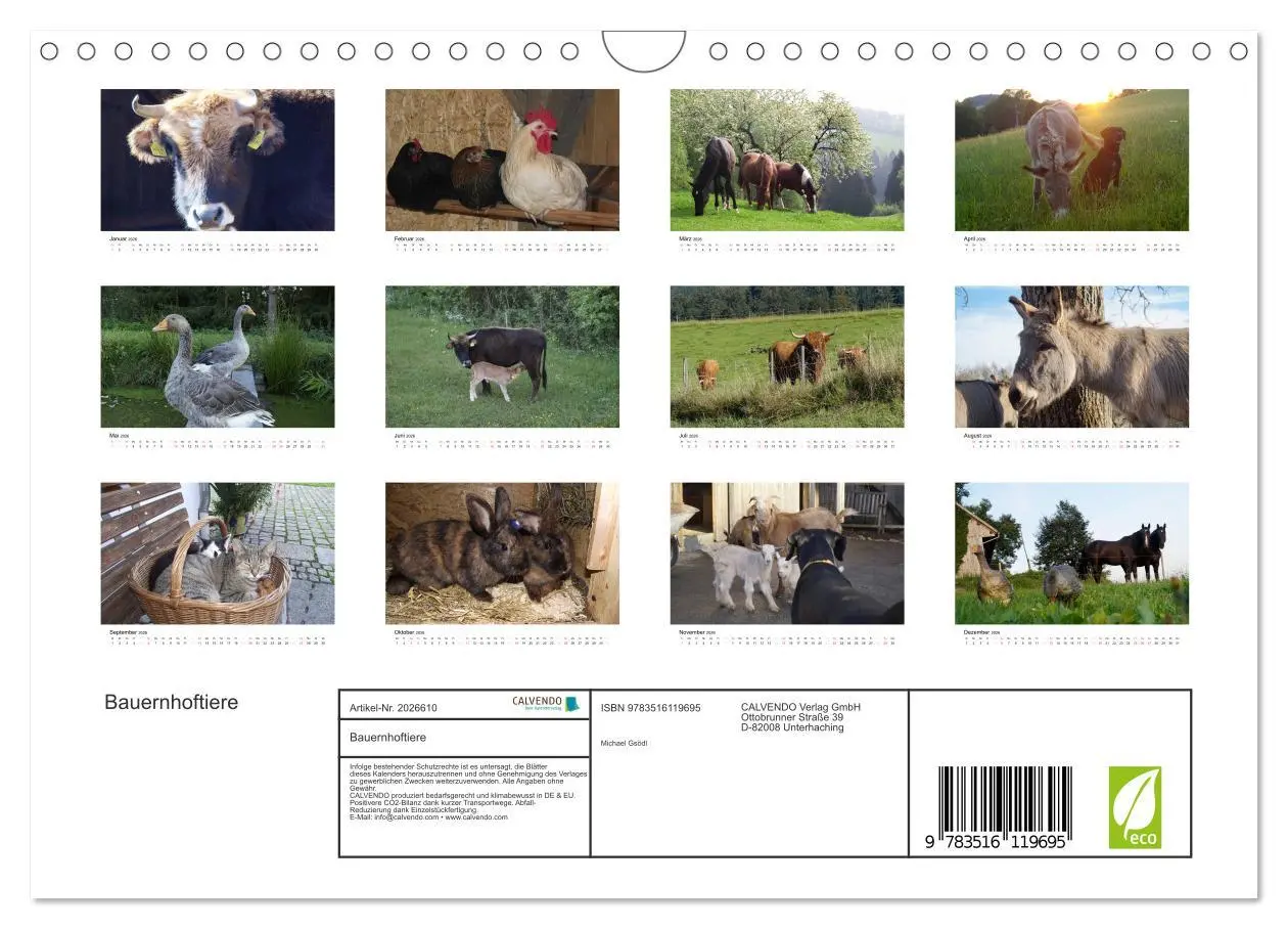 Bild: 9783516119695 | Bauernhoftiere (Wandkalender 2026 DIN A4 quer), CALVENDO...
