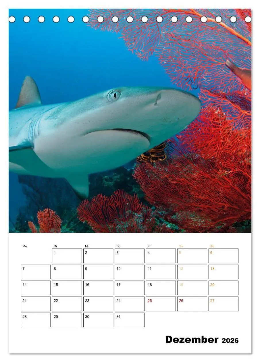 Bild: 9783516599695 | Farbrausch unter Wasser: Fische am Riff (Tischkalender 2026 DIN A5...