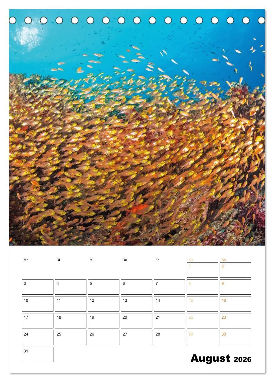 Bild: 9783516599695 | Farbrausch unter Wasser: Fische am Riff (Tischkalender 2026 DIN A5...