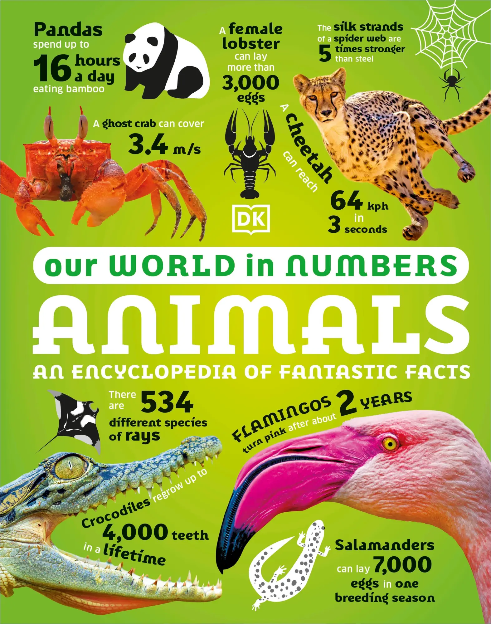 Cover: 9780241569795 | Our World in Numbers Animals | An Encyclopedia of Fantastic Facts | Dk