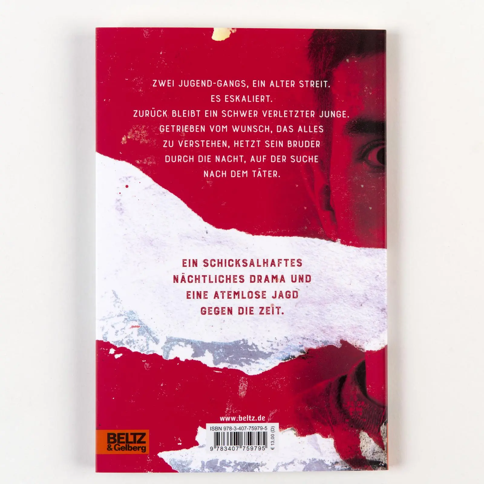 Rückseite: 9783407759795 | Das Leben ist nichts für Anfänger | Stephan Knösel | Taschenbuch