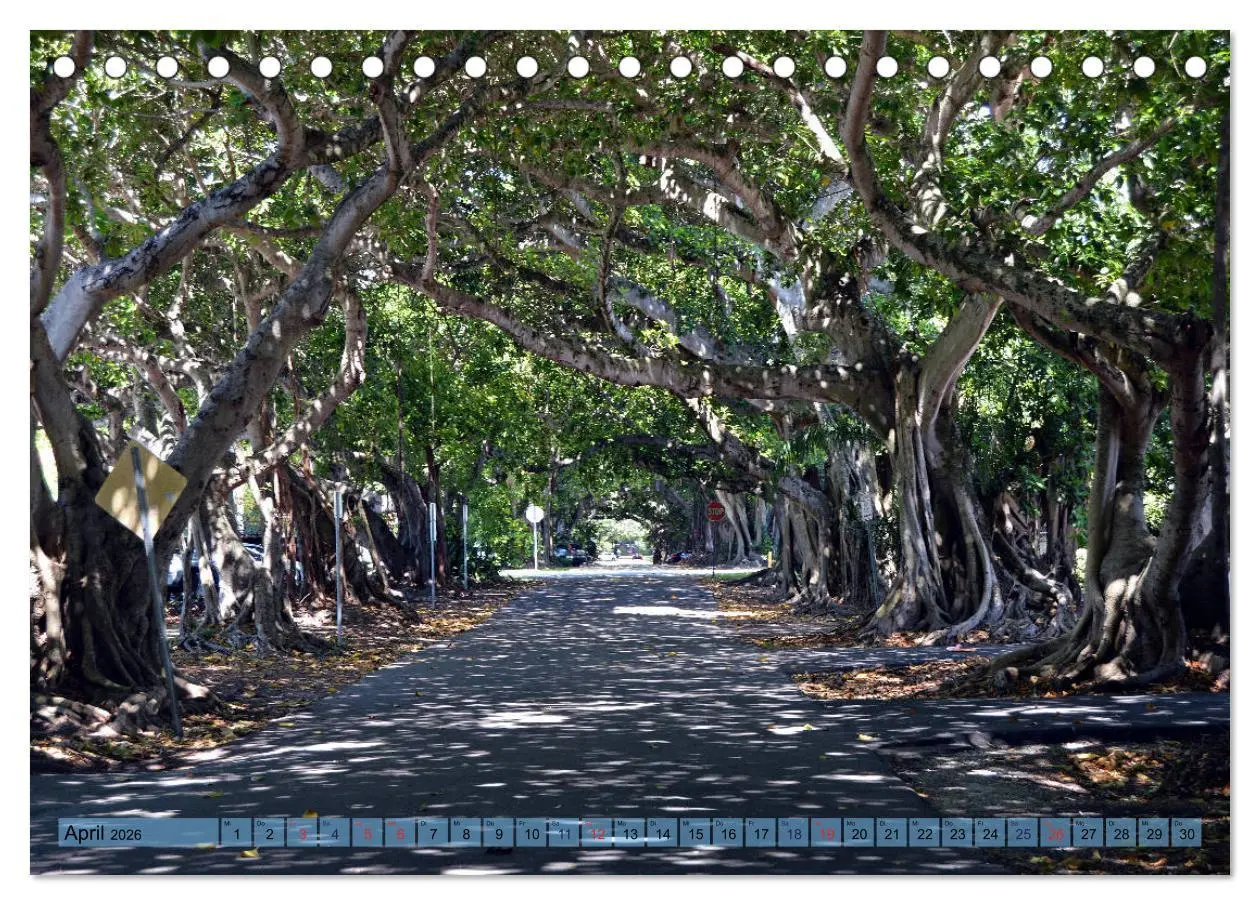 Bild: 9783457709795 | Florida Spots II (Tischkalender 2026 DIN A5 quer), CALVENDO...