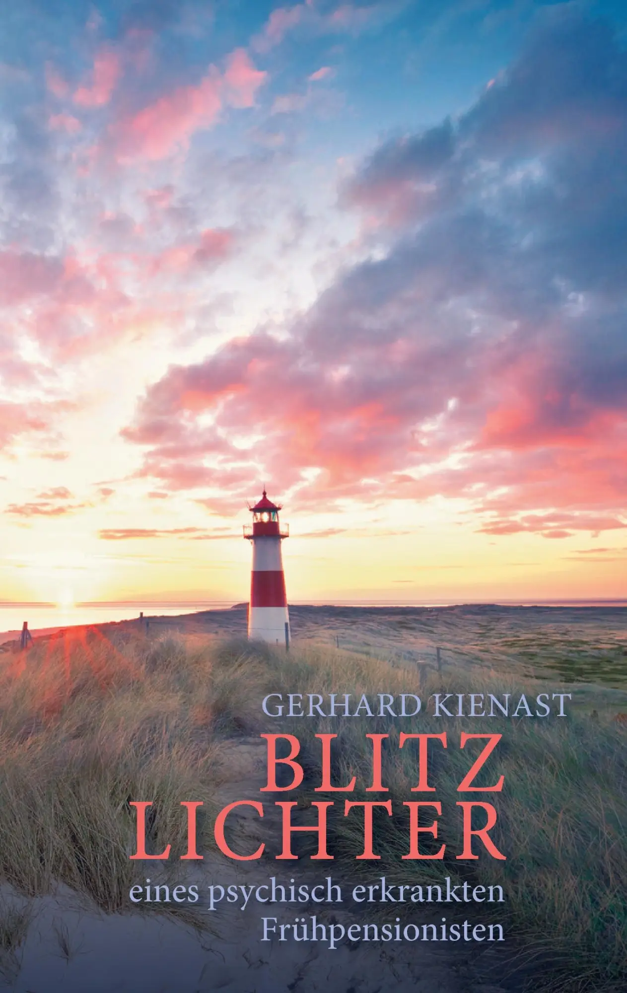 Cover: 9783739269795 | Blitzlichter eines psychisch erkrankten Frühpensionisten | Kienast