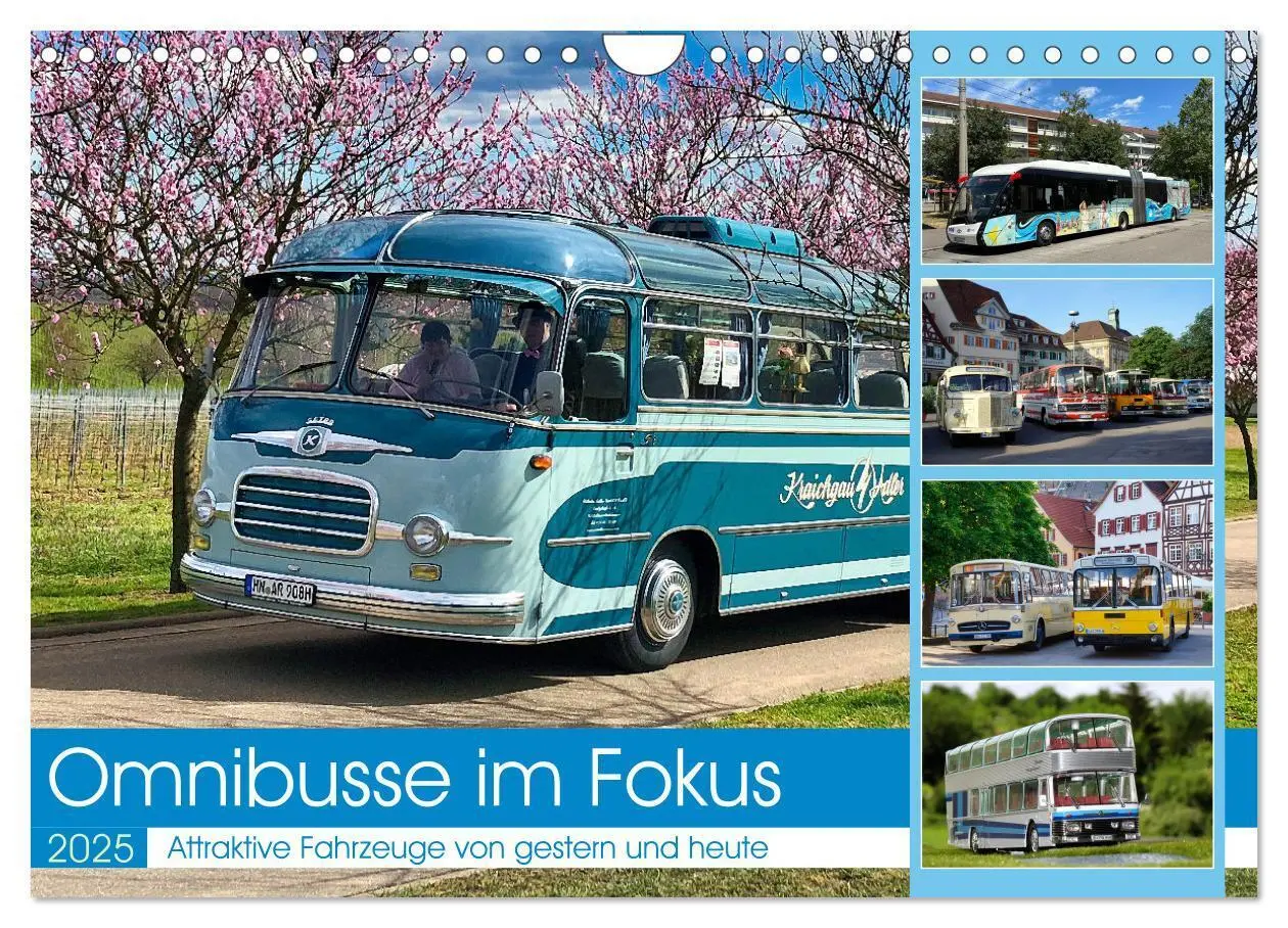 Cover: 9783383829895 | Omnibusse im Fokus (Wandkalender 2025 DIN A4 quer), CALVENDO...