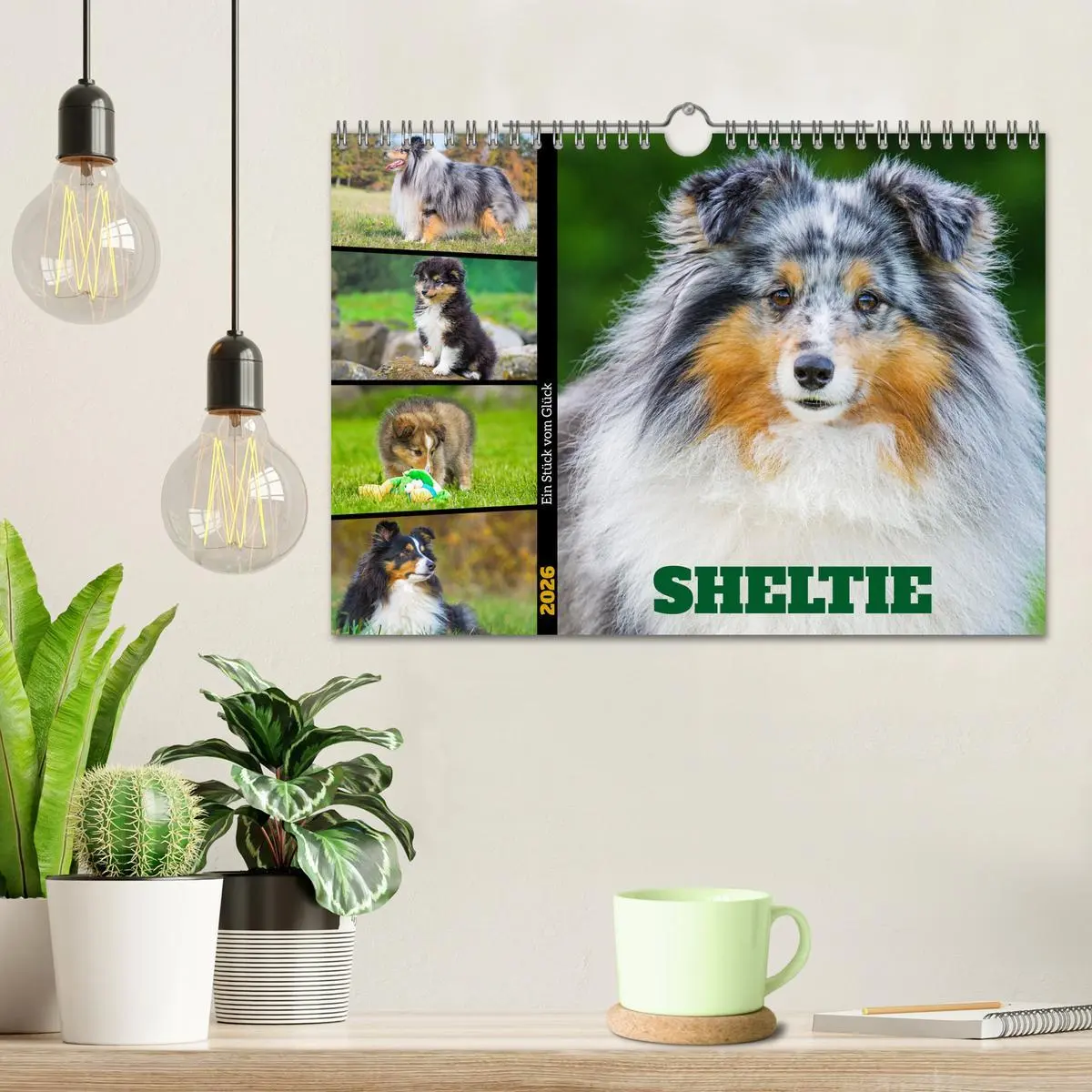 Bild: 9783457319895 | Sheltie - Ein Stück vom Glück (Wandkalender 2026 DIN A4 quer),...
