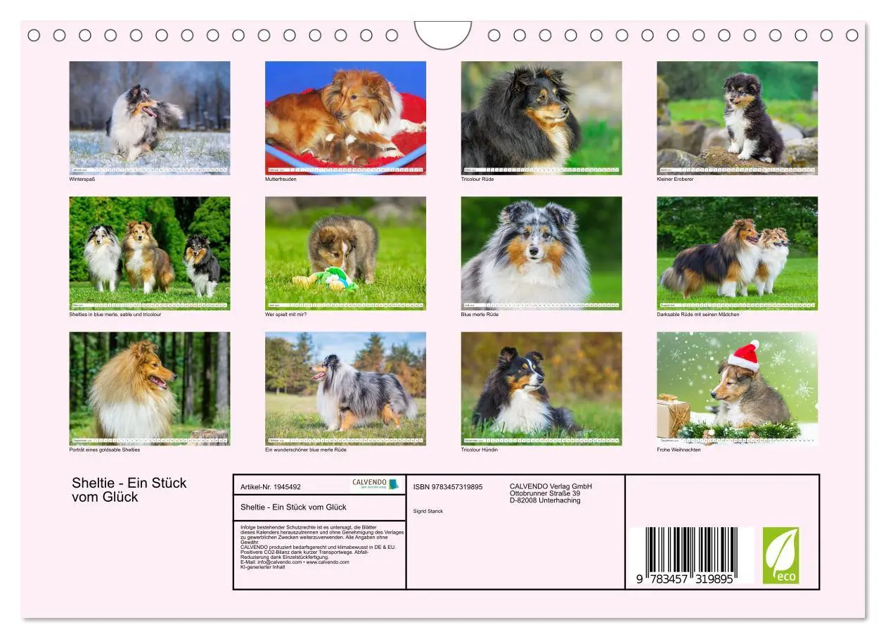Bild: 9783457319895 | Sheltie - Ein Stück vom Glück (Wandkalender 2026 DIN A4 quer),...