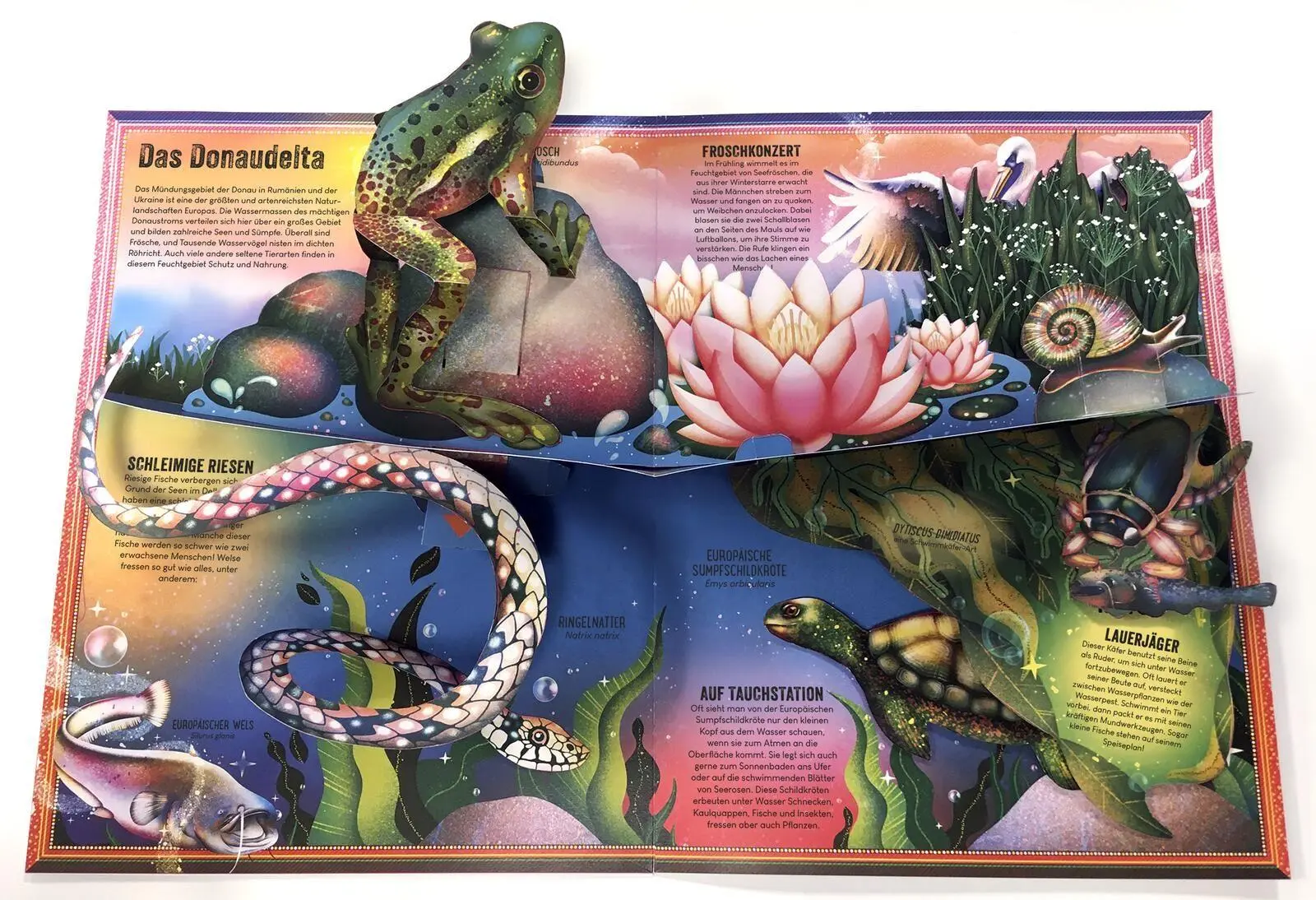 Bild: 9783845869995 | Das unglaubliche Pop-up-Buch - Am Wasser | Ben Hoare | Buch | 16 S.