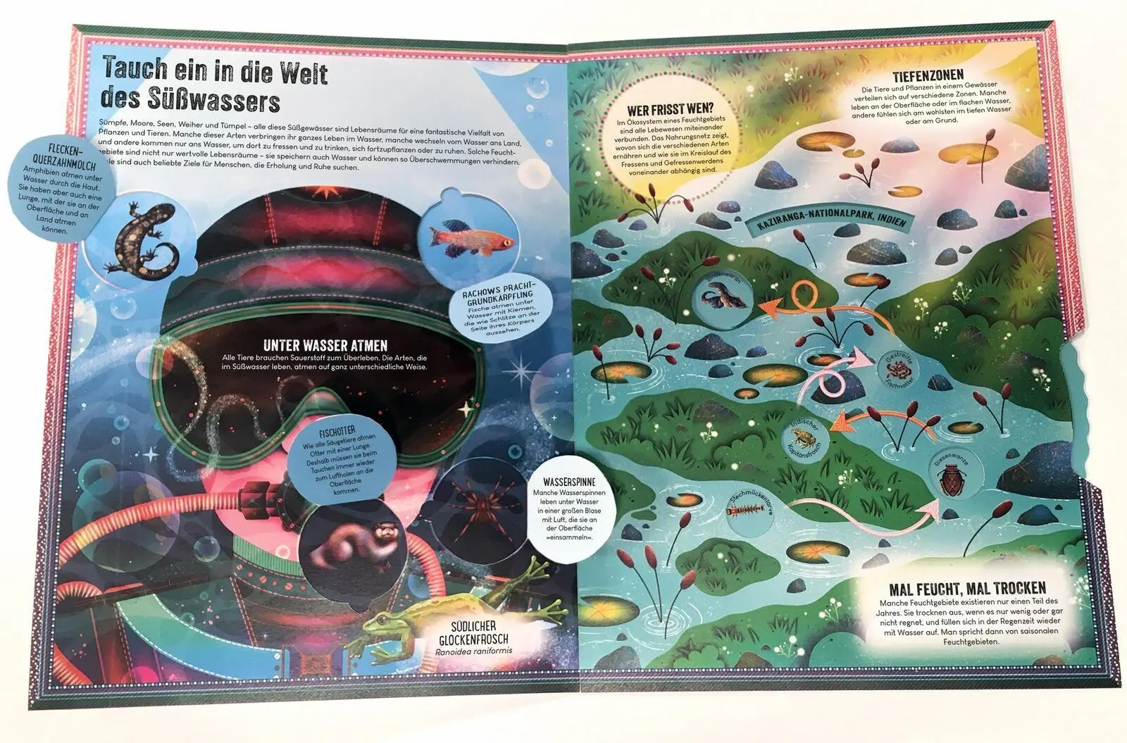Bild: 9783845869995 | Das unglaubliche Pop-up-Buch - Am Wasser | Ben Hoare | Buch | 16 S.