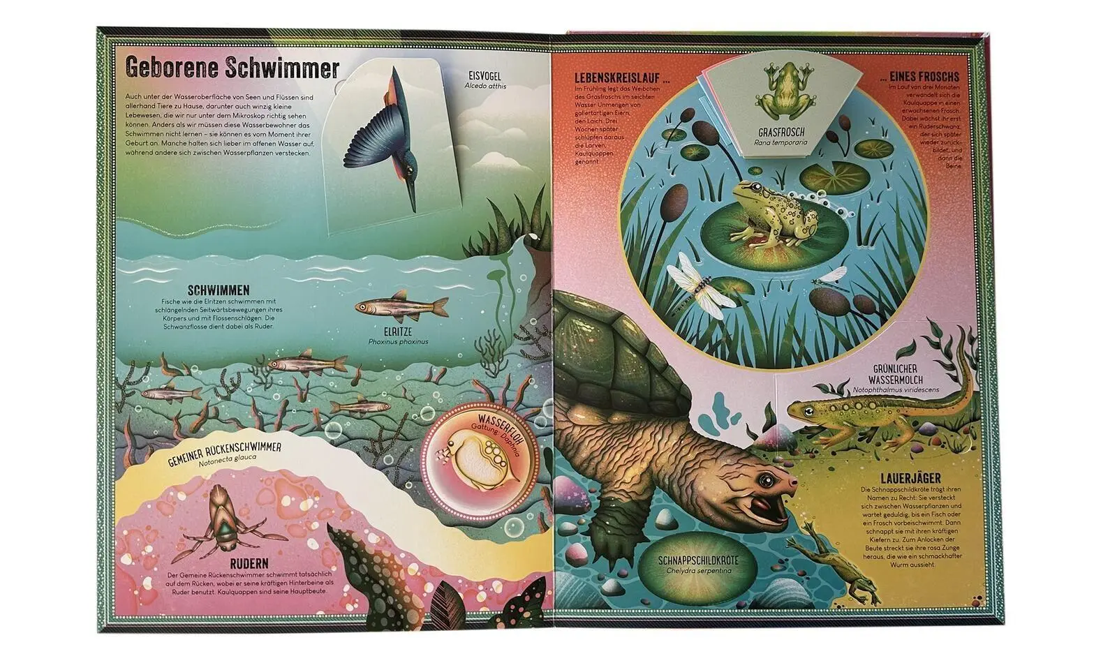 Bild: 9783845869995 | Das unglaubliche Pop-up-Buch - Am Wasser | Ben Hoare | Buch | 16 S.