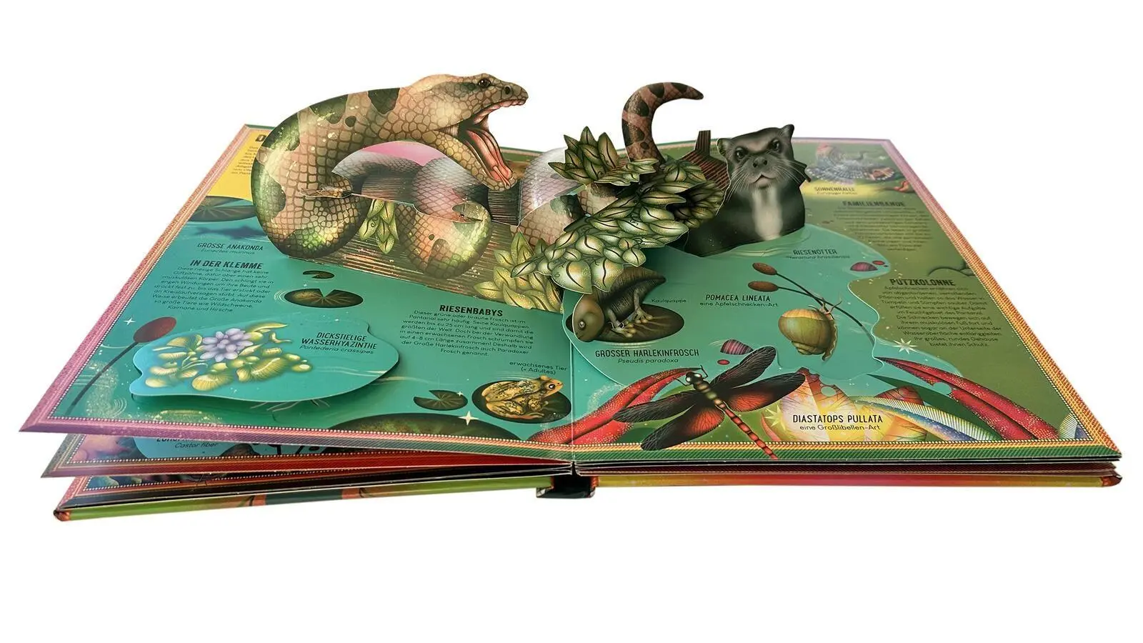 Bild: 9783845869995 | Das unglaubliche Pop-up-Buch - Am Wasser | Ben Hoare | Buch | 16 S.