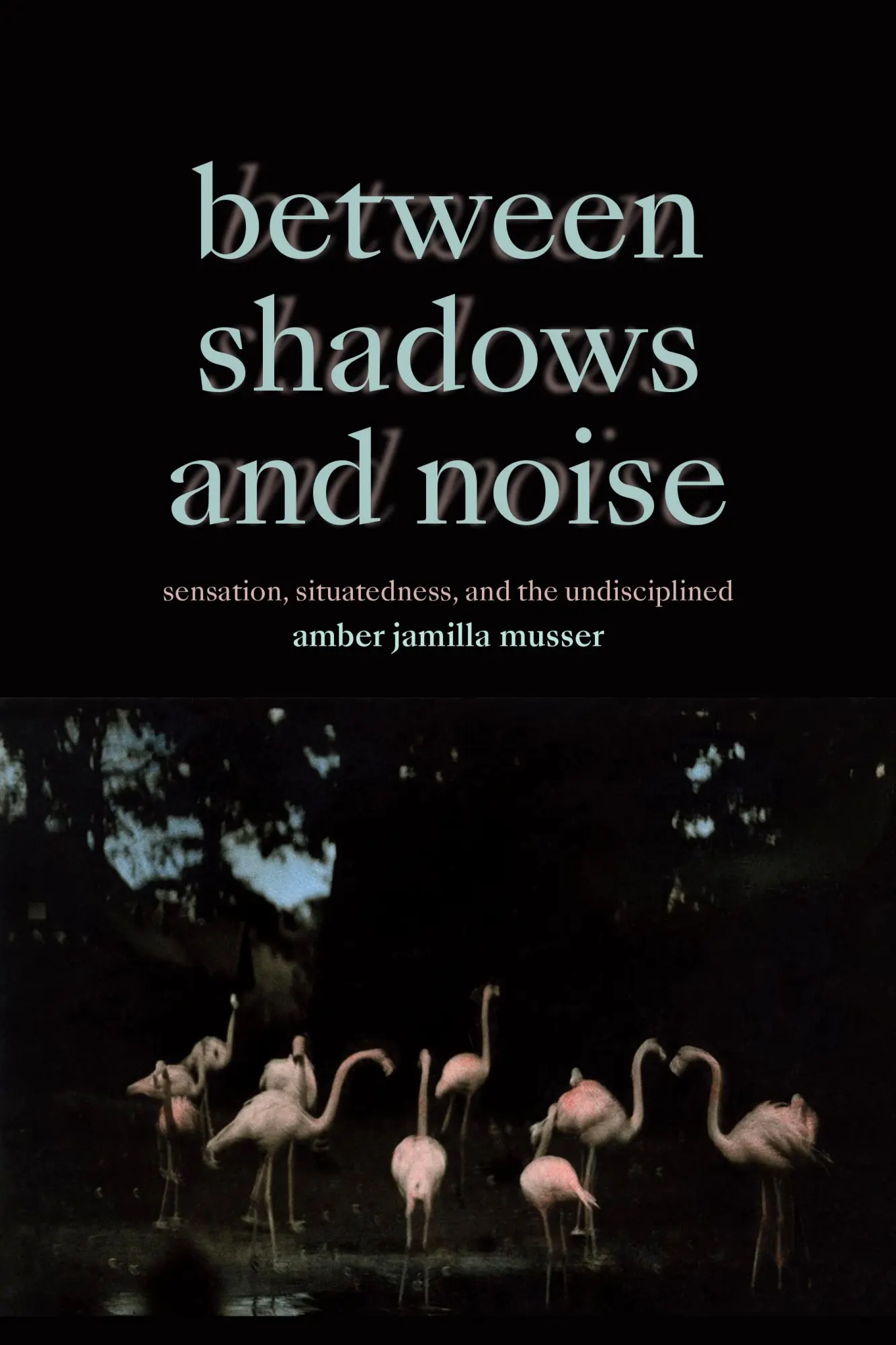 Cover: 9781478030096 | Between Shadows and Noise | Amber Jamilla Musser | Taschenbuch | 2024