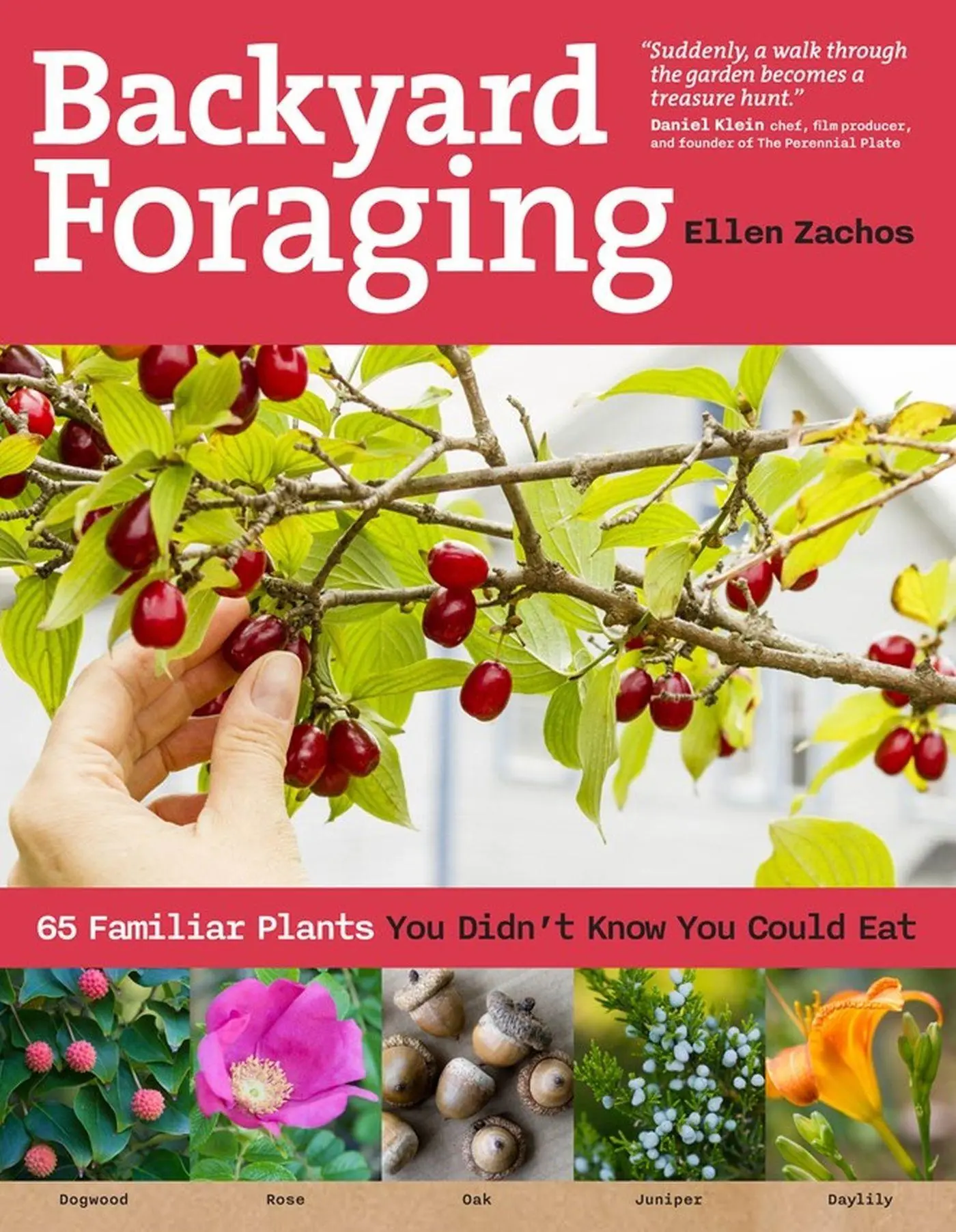 Cover: 9781612120096 | Backyard Foraging | 65 Familiar Plants You Didn't Know You Could Eat