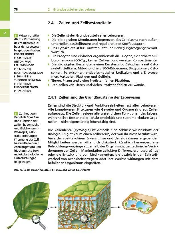 Bild: 9783411710096 | Basiswissen Schule - Biologie Abi | Wilfried Probst (u. a.) | Buch