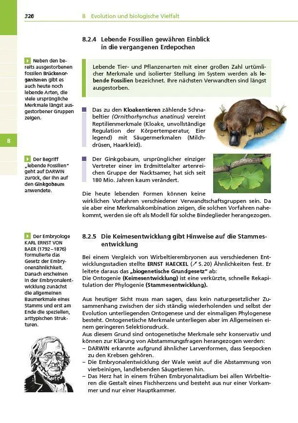 Bild: 9783411710096 | Basiswissen Schule - Biologie Abi | Wilfried Probst (u. a.) | Buch
