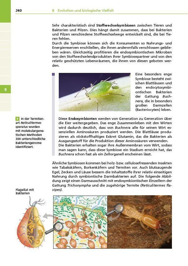 Bild: 9783411710096 | Basiswissen Schule - Biologie Abi | Wilfried Probst (u. a.) | Buch