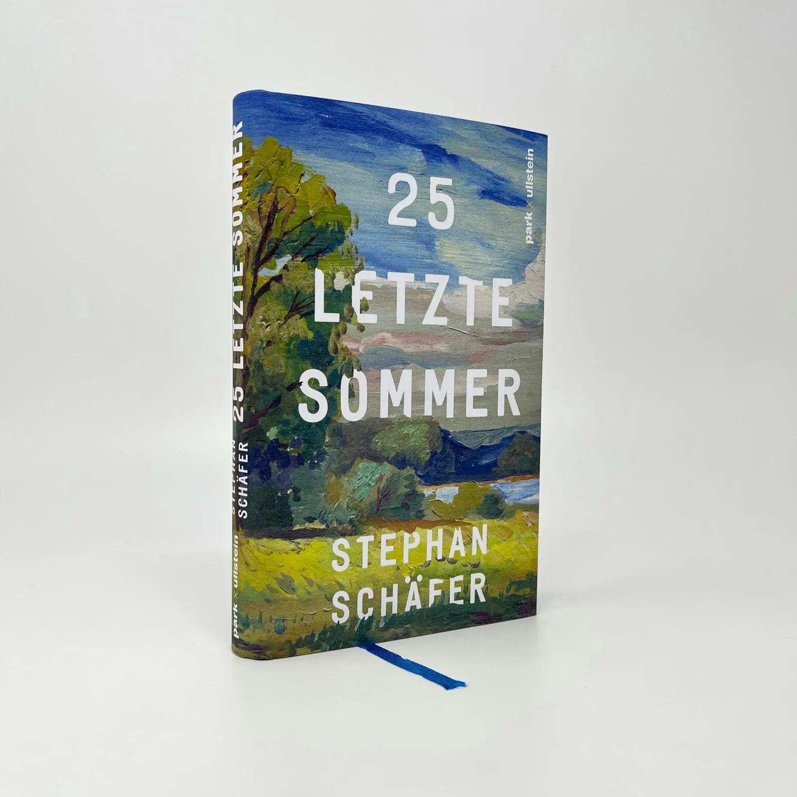 Bild: 9783988160096 | 25 letzte Sommer | Stephan Schäfer | Buch | Lebensfragen | 176 S.