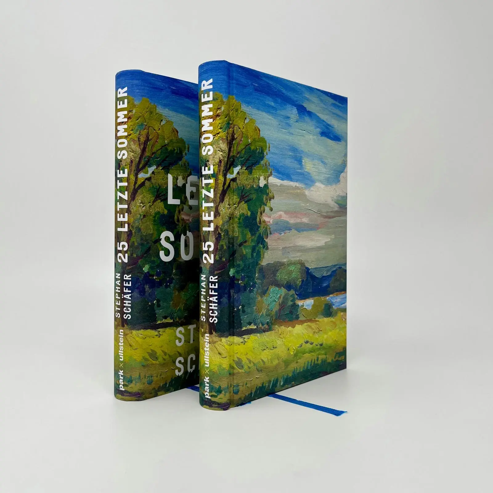 Bild: 9783988160096 | 25 letzte Sommer | Stephan Schäfer | Buch | Lebensfragen | 176 S.