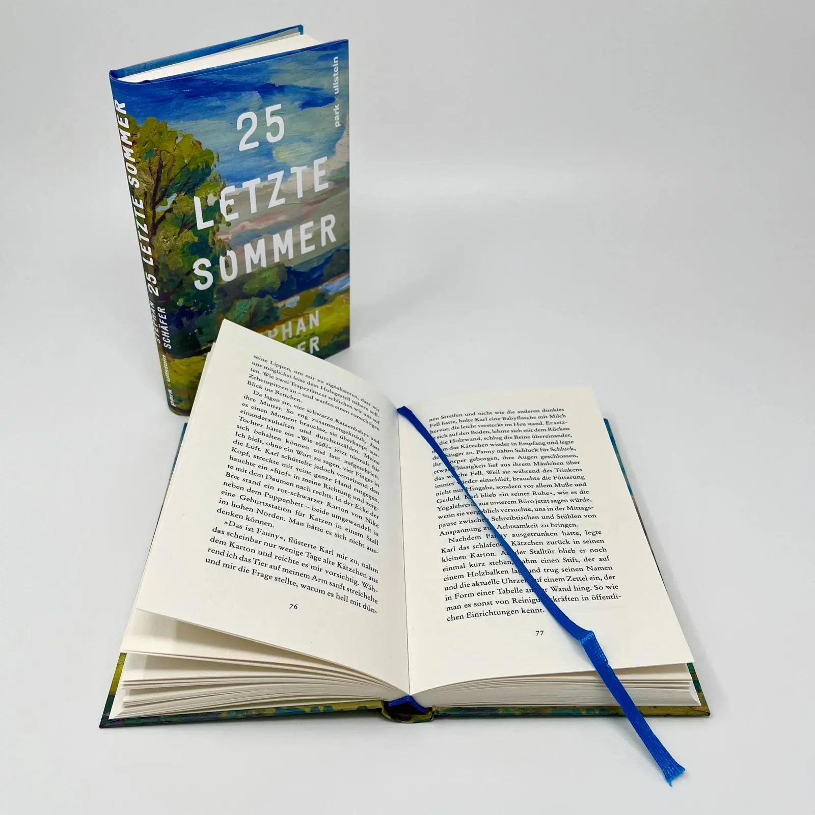 Bild: 9783988160096 | 25 letzte Sommer | Stephan Schäfer | Buch | Lebensfragen | 176 S.