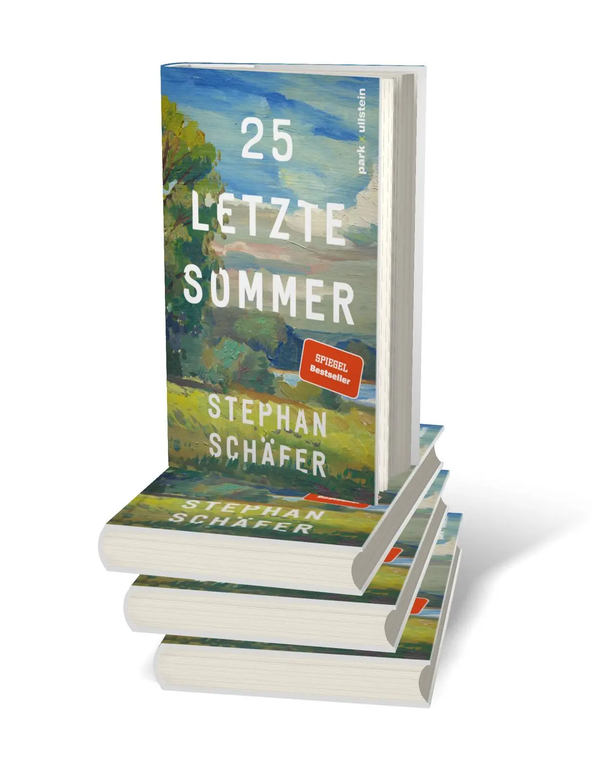 Bild: 9783988160096 | 25 letzte Sommer | Stephan Schäfer | Buch | Lebensfragen | 176 S.