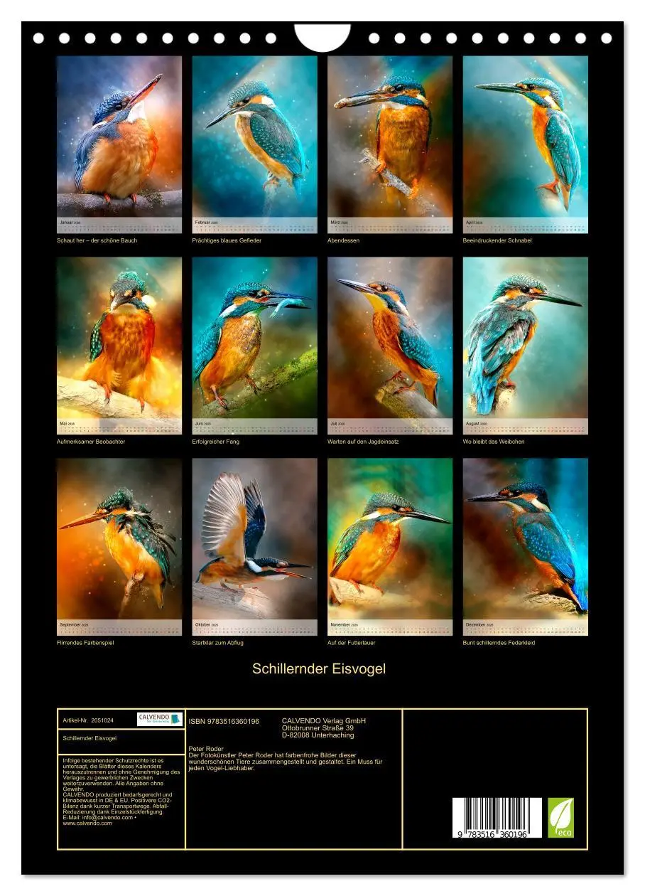 Bild: 9783516360196 | Schillernder Eisvogel (Wandkalender 2026 DIN A4 hoch), CALVENDO...