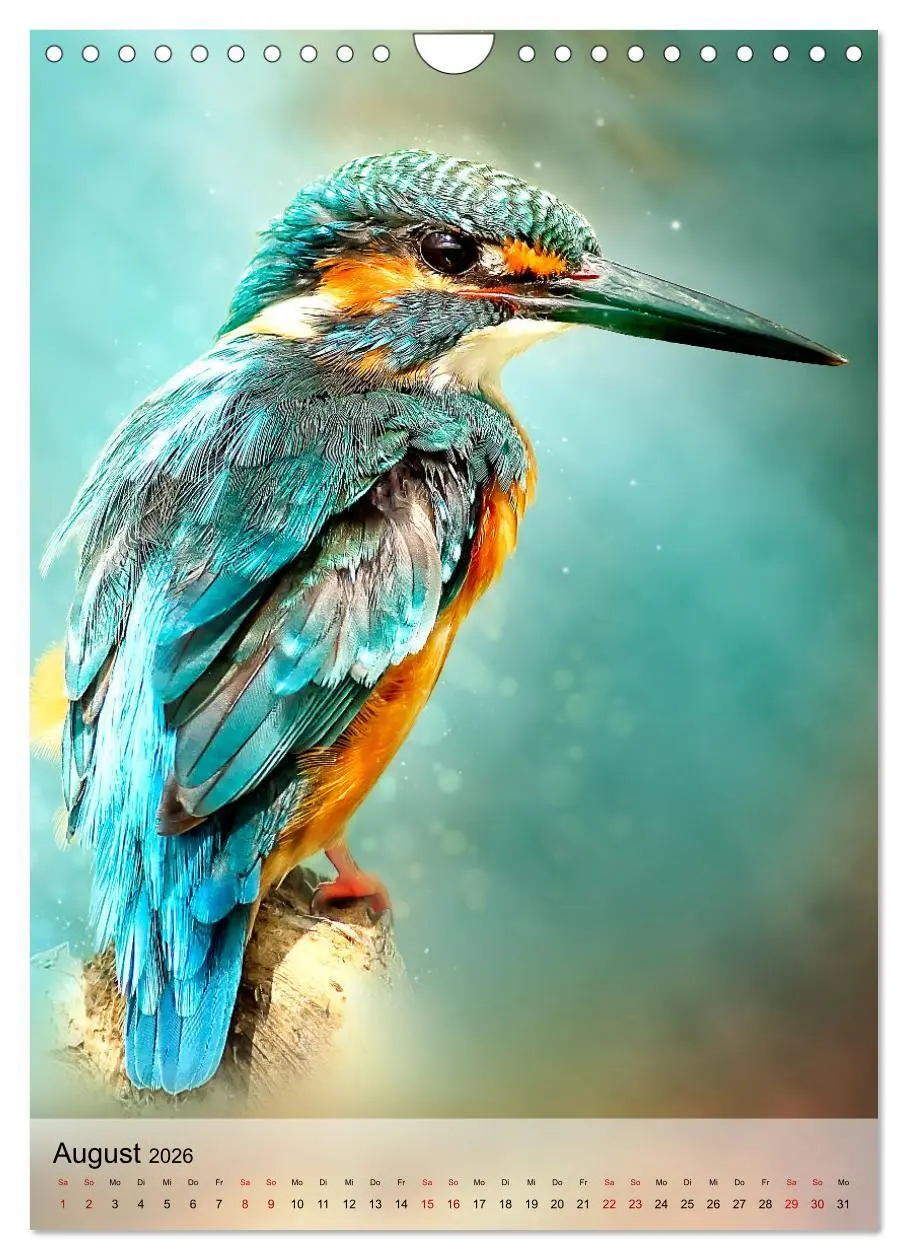 Bild: 9783516360196 | Schillernder Eisvogel (Wandkalender 2026 DIN A4 hoch), CALVENDO...
