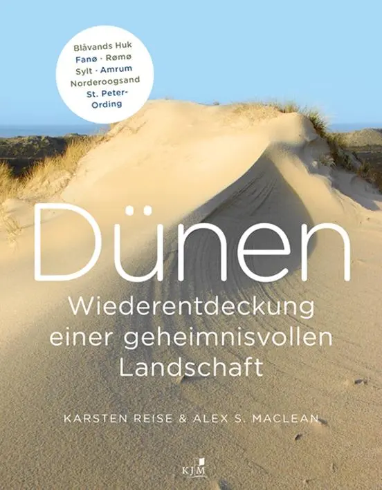 Cover: 9783961940196 | Dünen. Die Wiederentdeckung einer geheimnisvollen Landschaft | Buch
