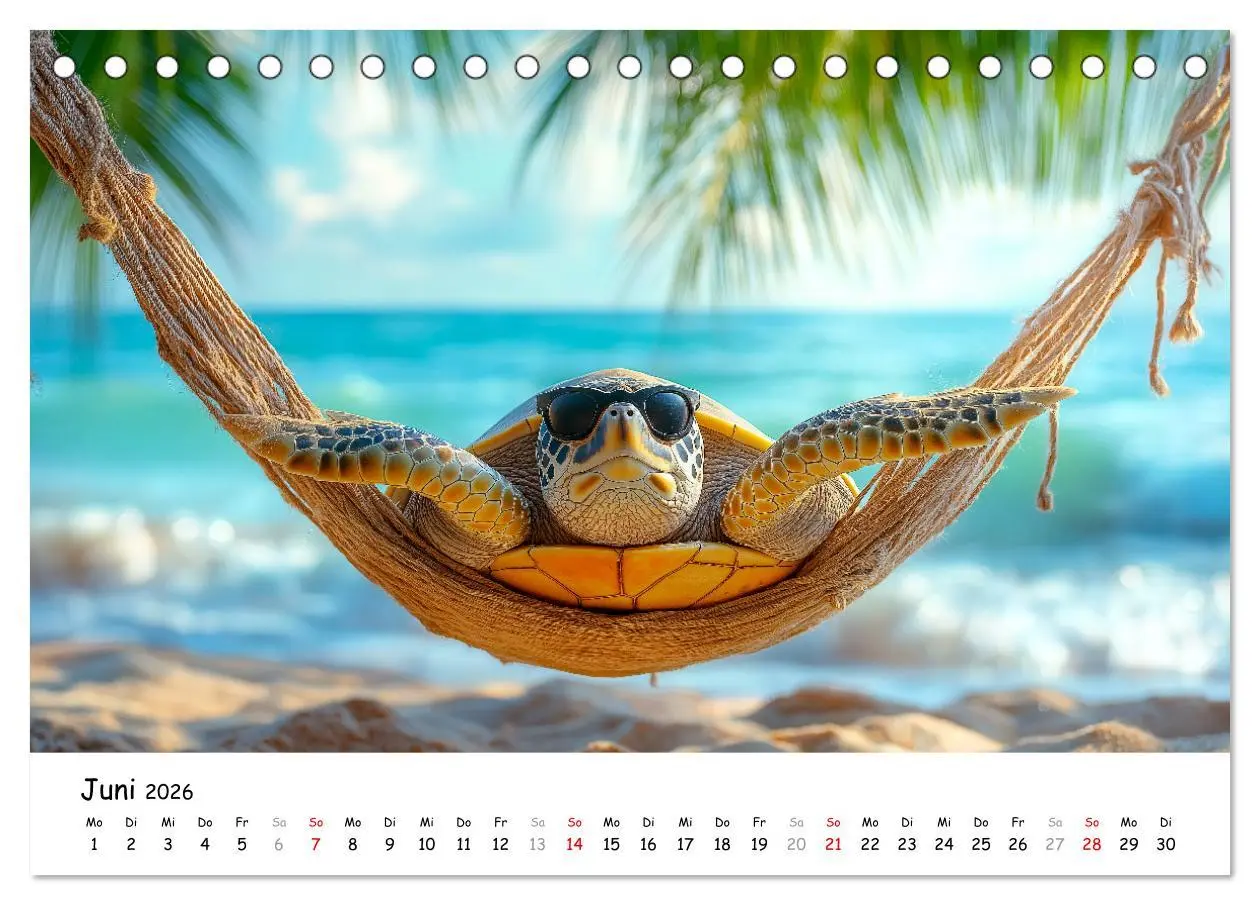 Bild: 9783457330296 | CHILL MAL - Entspannte Schildkröten beim Faulenzen (Tischkalender...