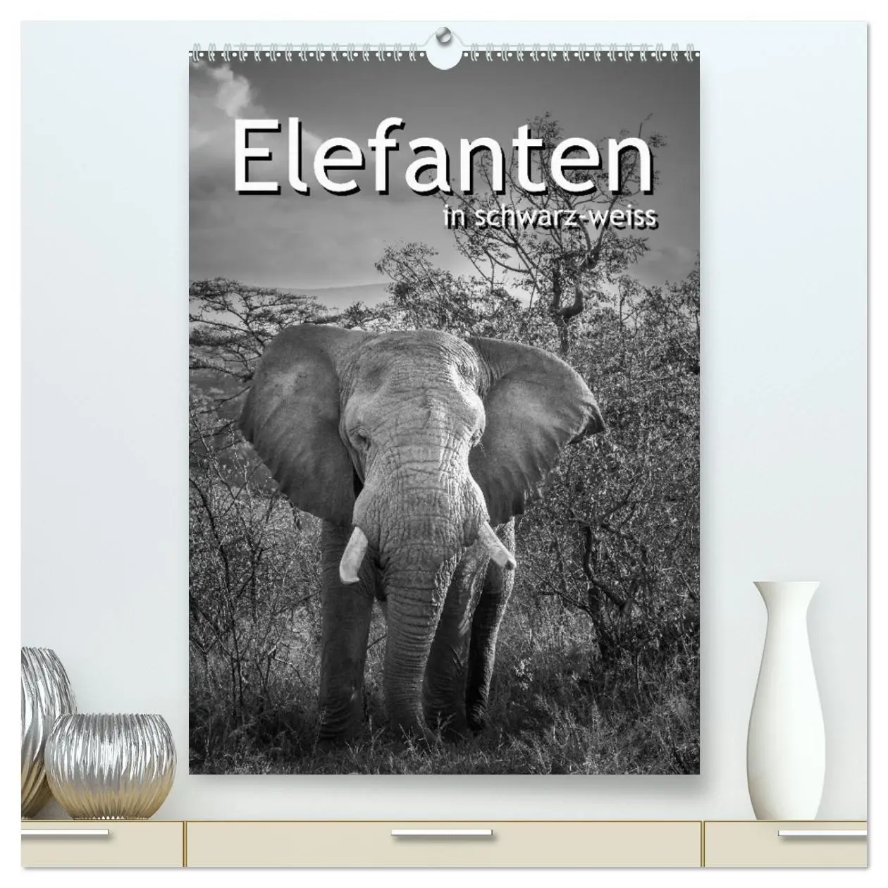 Cover: 9783516420296 | Elefanten in schwarz-weiss (hochwertiger Premium Wandkalender 2026...