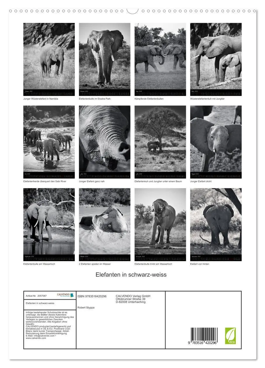 Bild: 9783516420296 | Elefanten in schwarz-weiss (hochwertiger Premium Wandkalender 2026...