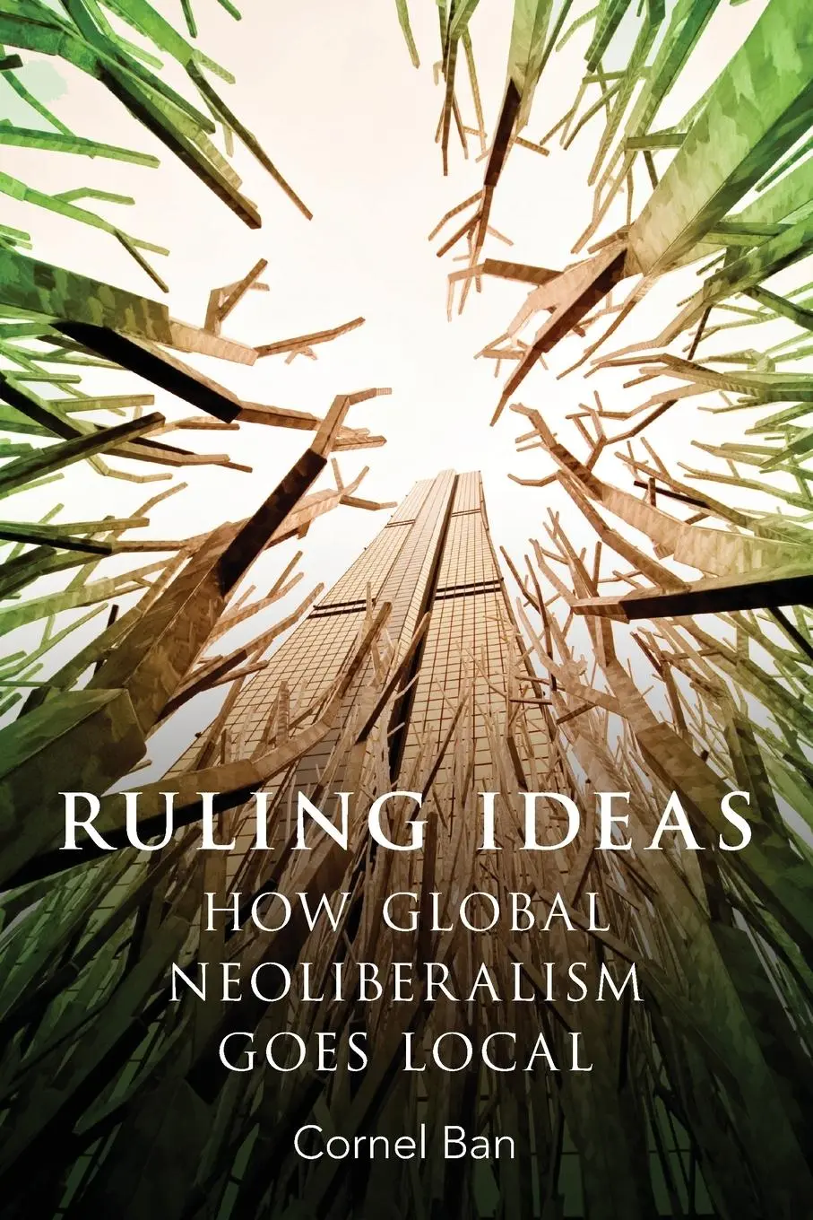 Cover: 9780190600396 | Ruling Ideas | How Global Neoliberalism Goes Local | Cornel Ban | Buch