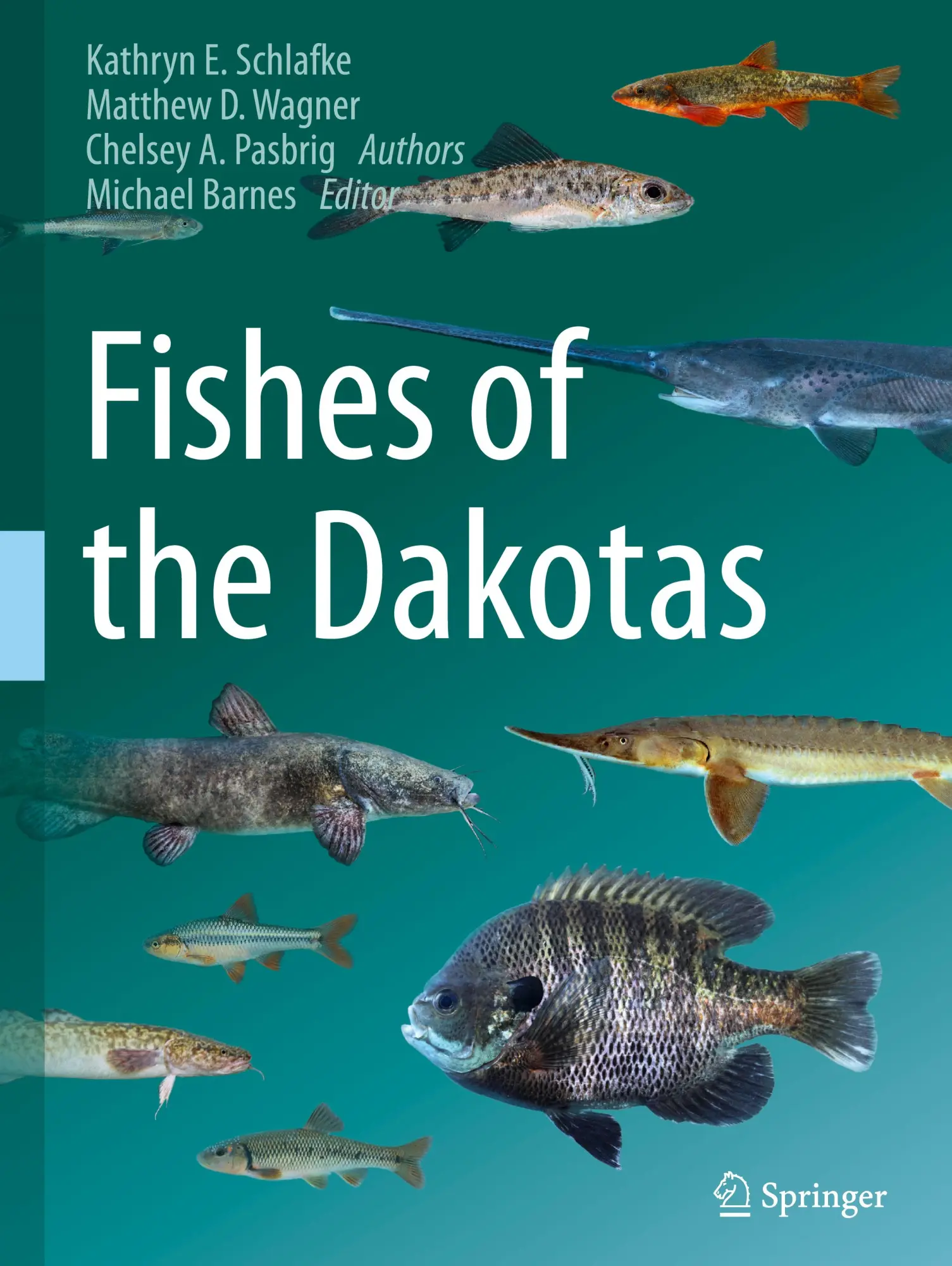 Cover: 9783031380396 | Fishes of the Dakotas | Kathryn E. Schlafke (u. a.) | Buch | ix | 2024