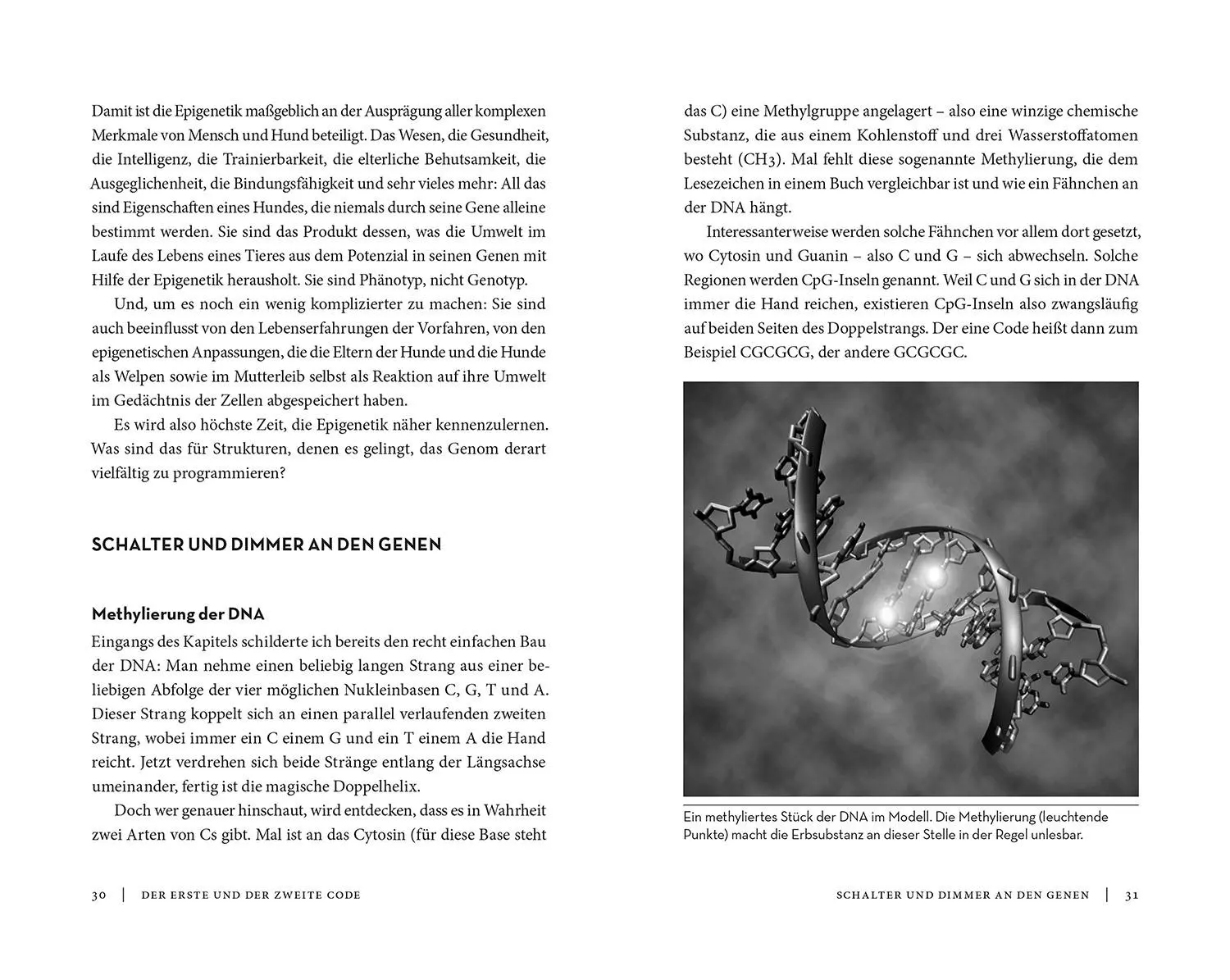 Bild: 9783440180396 | Die Epigenetik des Hundes | Peter Spork | Buch | 152 S. | Deutsch