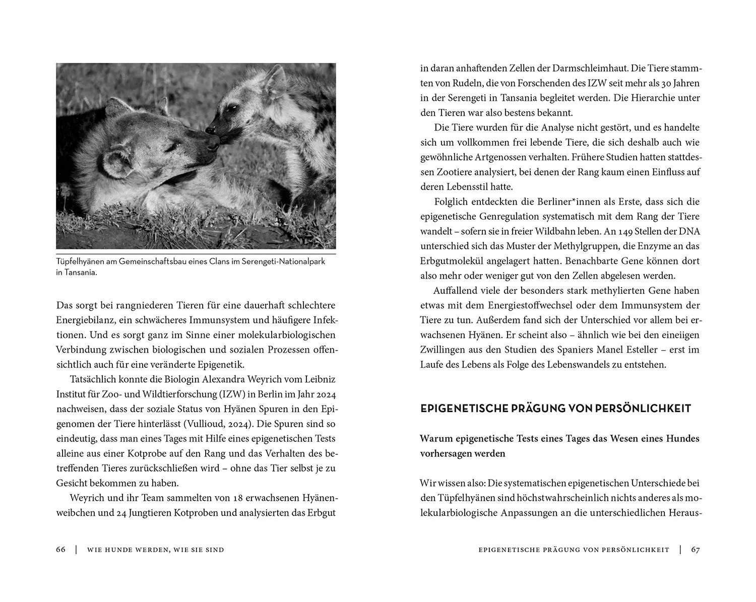 Bild: 9783440180396 | Die Epigenetik des Hundes | Peter Spork | Buch | 152 S. | Deutsch