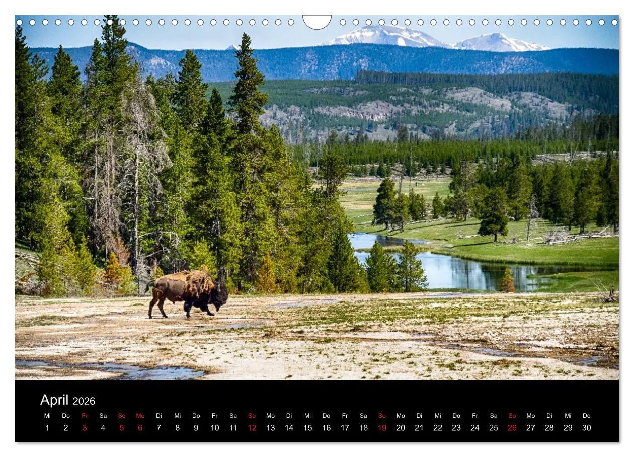 Bild: 9783516100396 | Traumziele in den USA. Der Yellowstone National Park (Wandkalender...