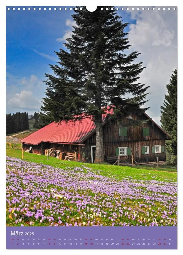 Bild: 9783383820496 | Das Allgäu - eine Landschaft wie im Märchen (Wandkalender 2025 DIN...