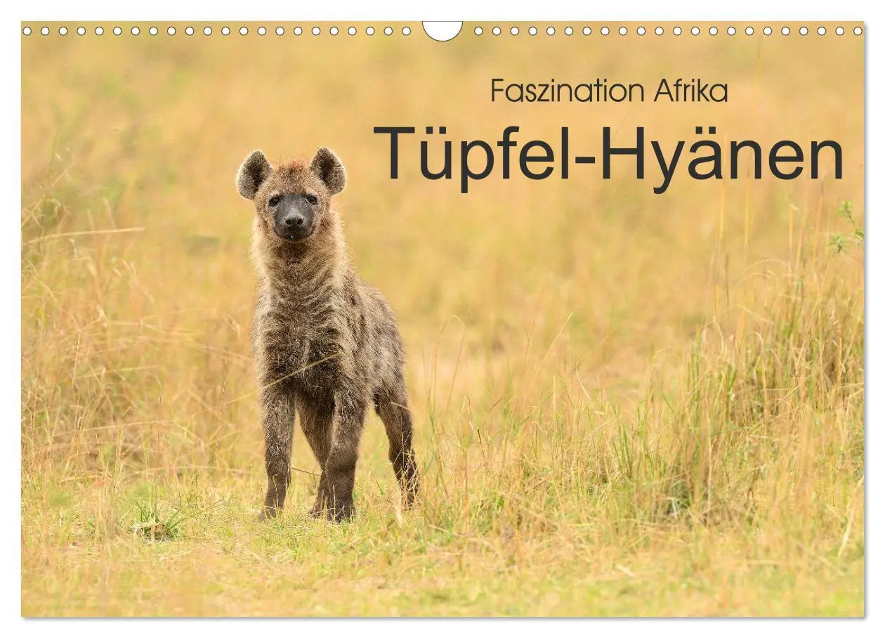 Cover: 9783457790496 | Faszination Afrika: Tüpfel-Hyänen (Wandkalender 2026 DIN A3 quer),...