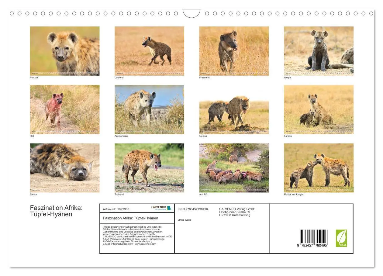 Bild: 9783457790496 | Faszination Afrika: Tüpfel-Hyänen (Wandkalender 2026 DIN A3 quer),...