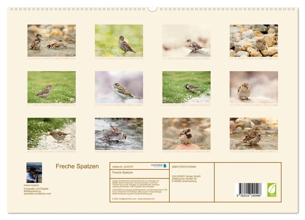 Bild: 9783516190496 | Freche Spatzen (hochwertiger Premium Wandkalender 2026 DIN A2...