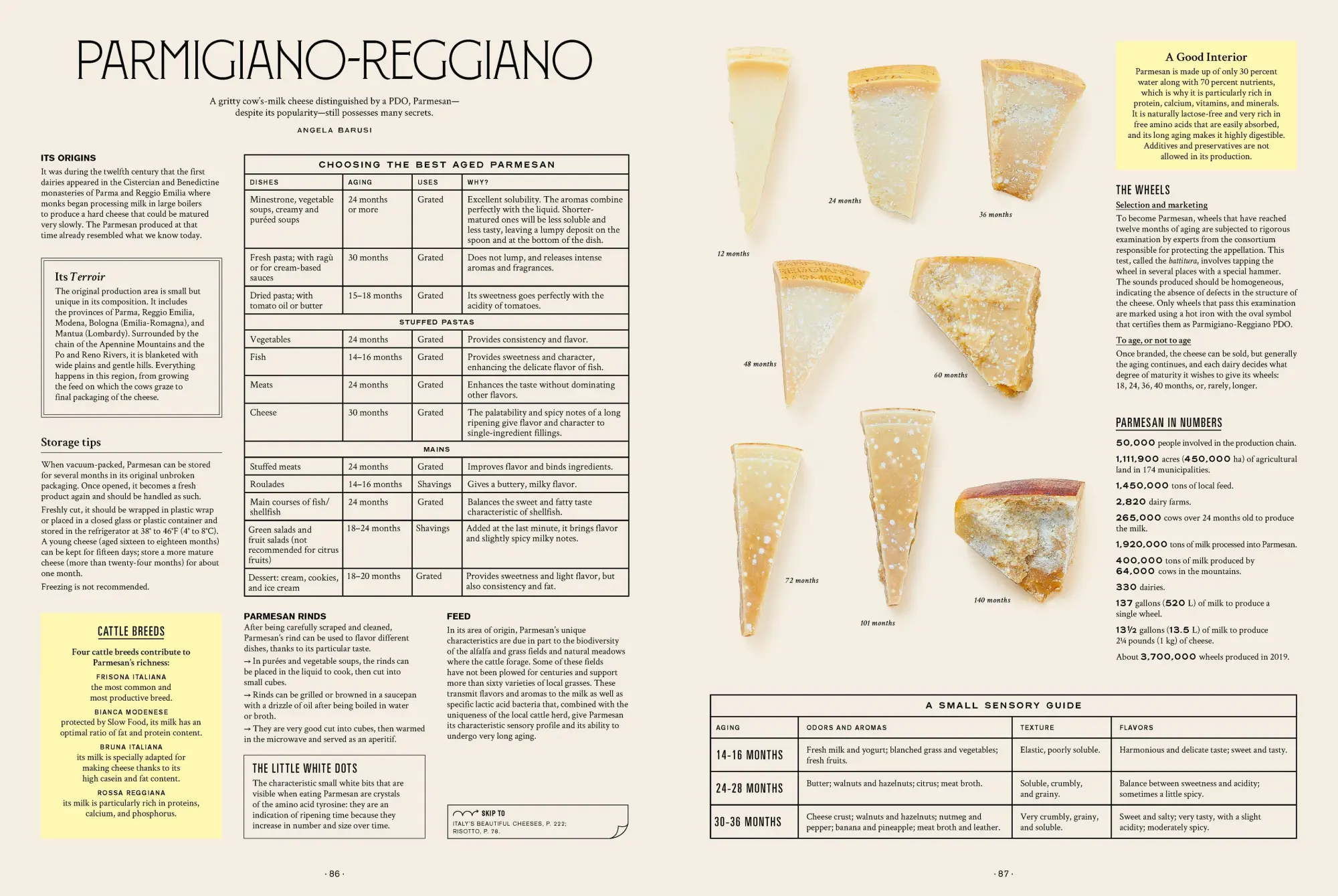 Bild: 9781648290596 | Let's Eat Italy! | François-Régis Gaudry | Buch | Gebunden | Englisch
