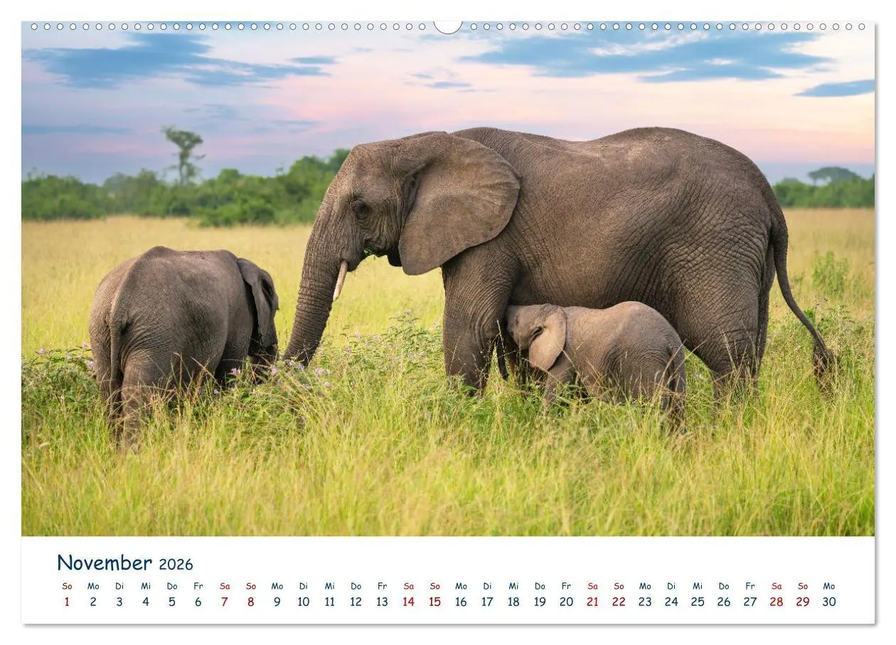 Bild: 9783457610596 | Fernweh Uganda - Naturschönheit Ostafrikas (Wandkalender 2026 DIN...