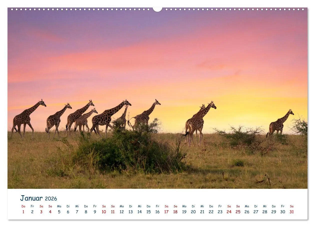 Bild: 9783457610596 | Fernweh Uganda - Naturschönheit Ostafrikas (Wandkalender 2026 DIN...