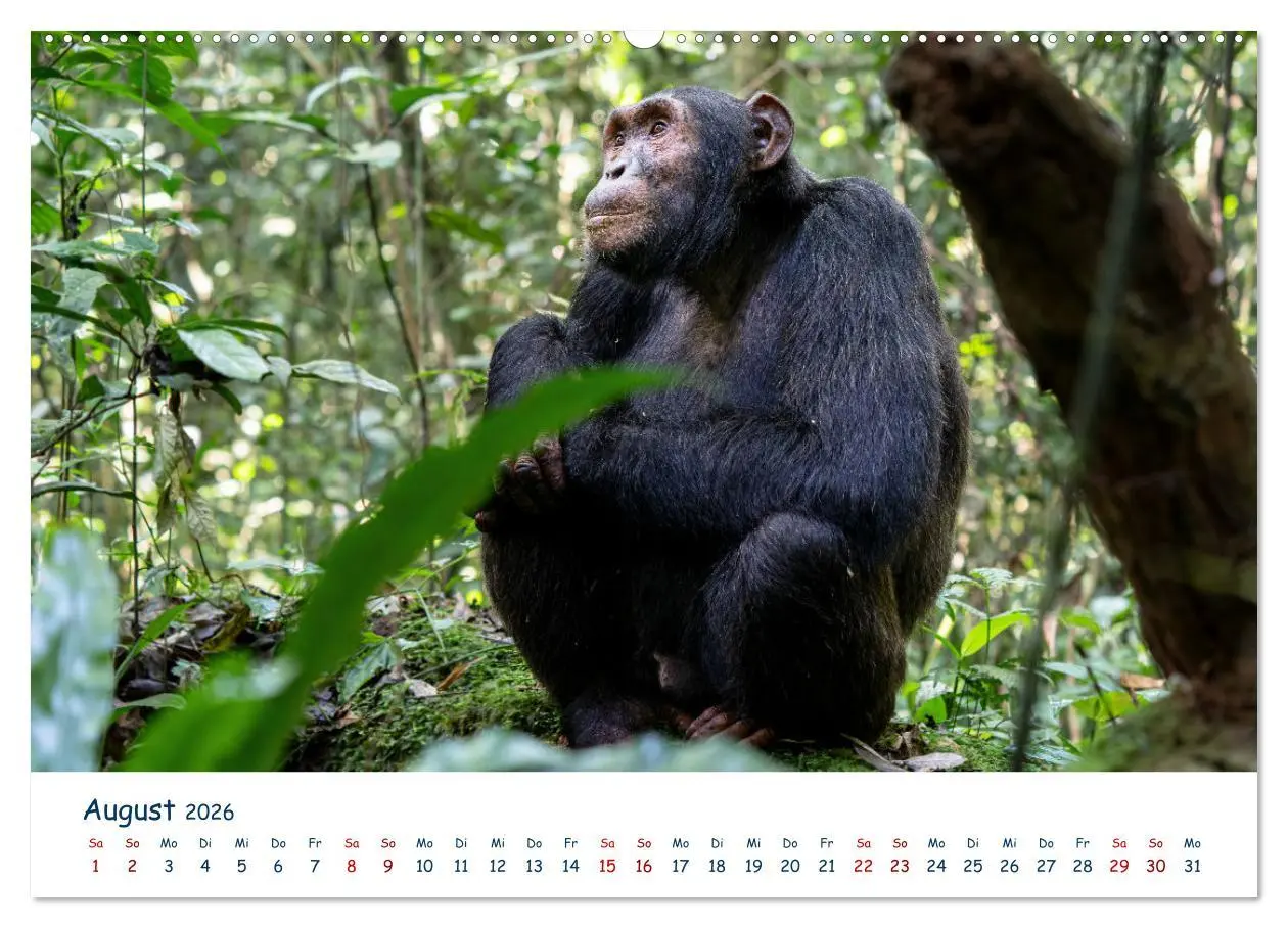 Bild: 9783457610596 | Fernweh Uganda - Naturschönheit Ostafrikas (Wandkalender 2026 DIN...