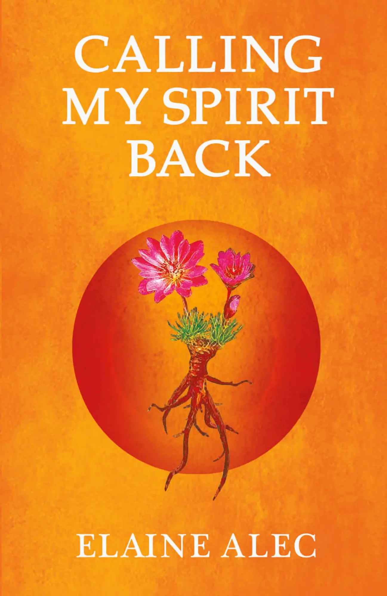 Cover: 9780228830696 | Calling My Spirit Back | Elaine Alec | Taschenbuch | Englisch | 2020