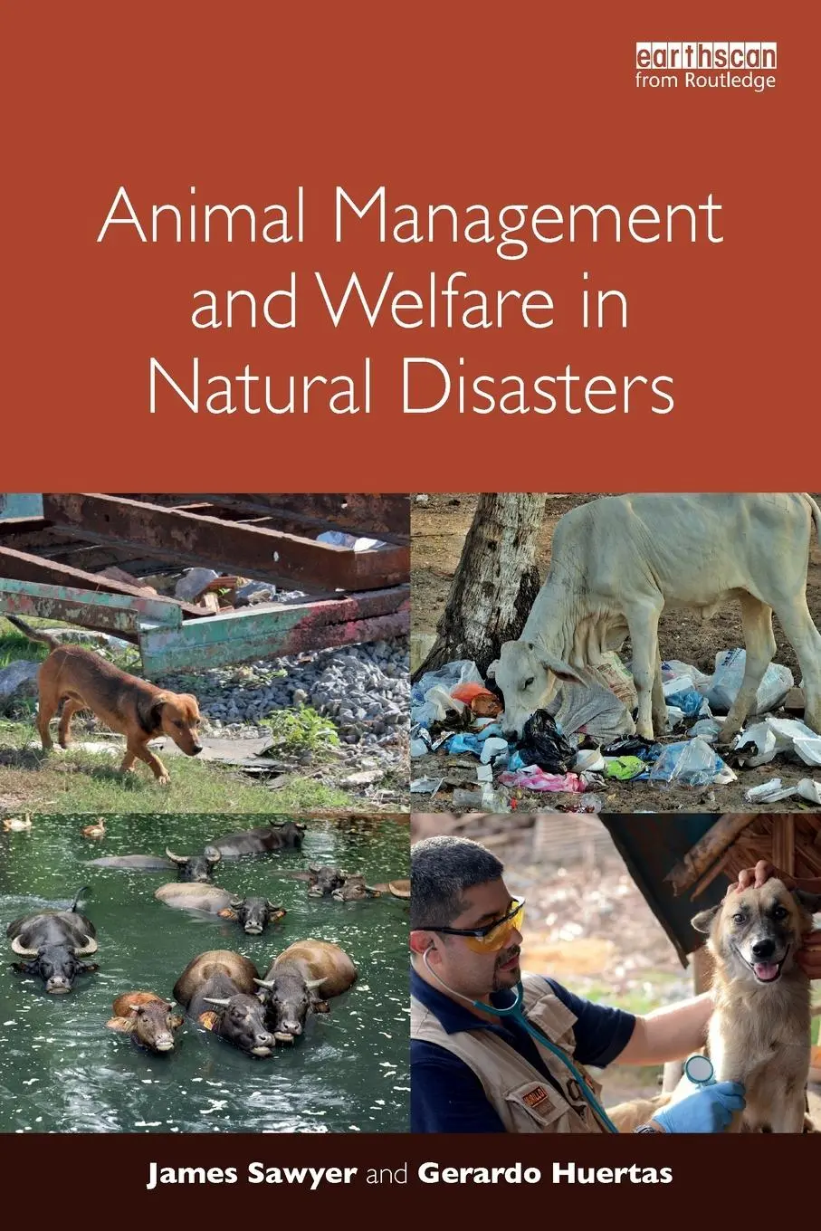 Cover: 9781138190696 | Animal Management and Welfare in Natural Disasters | Sawyer (u. a.)