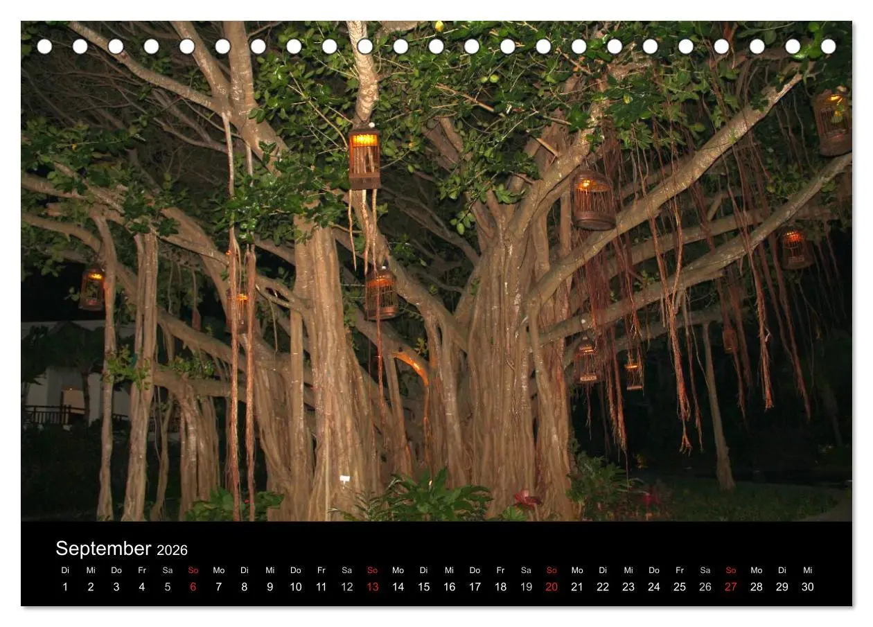 Bild: 9783516170696 | Trauminsel Mauritius (Tischkalender 2026 DIN A5 quer), CALVENDO...
