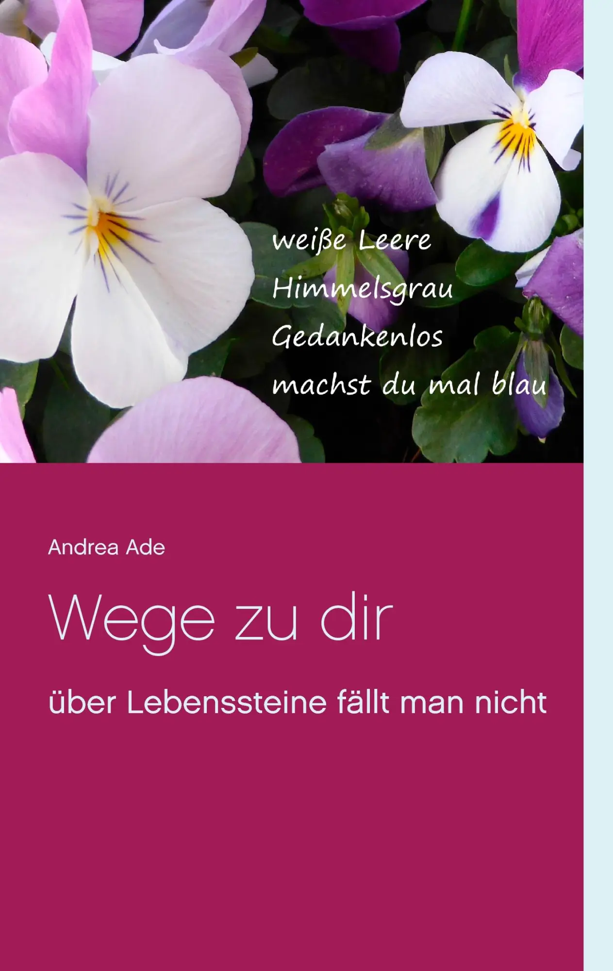 Cover: 9783741280696 | Wege zu dir | über Lebenssteine fällt man nicht | Andrea Ade | Buch