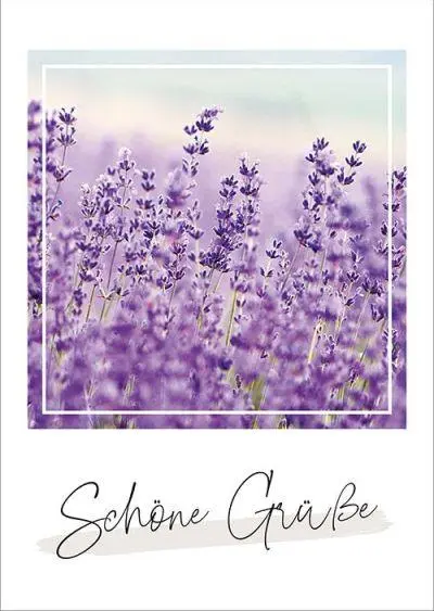 Bild: 4029856840796 | Unendlich geliebt - Postkartenset | Taschenbuch | 18 S. | 5584079